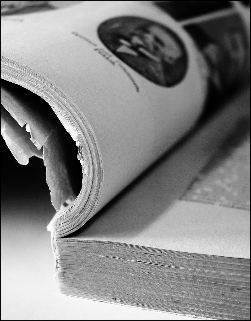 Fotografie von VikaValter für DesignCrowd (Community Contests) | Design #9071060