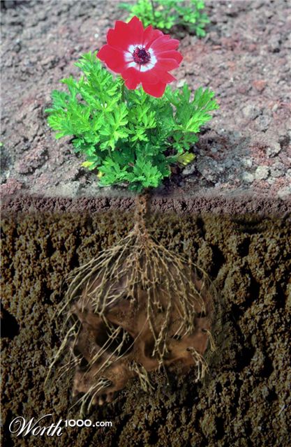 Photoshop Design by spiraleye