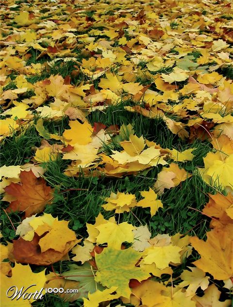 Photography by Chupakabra