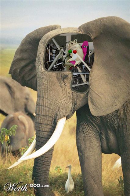 Photoshop Design by blacksack