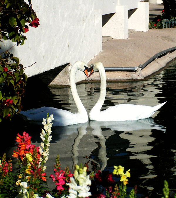 Photographie par jasoned pour DesignCrowd (Community Contests) | Design #9060815