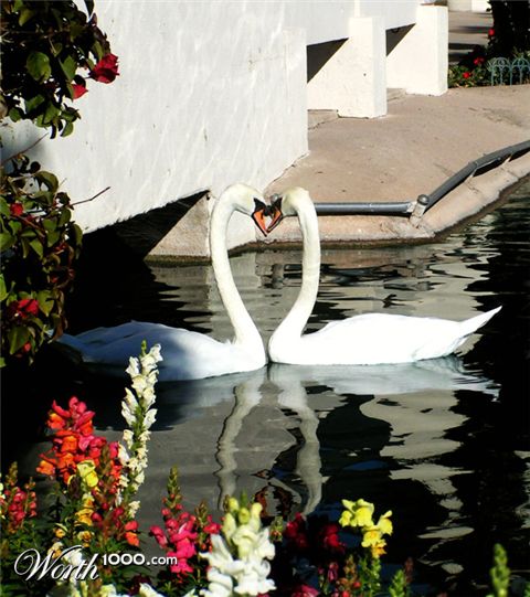 Photography by jasoned