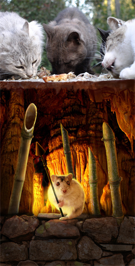 Photoshop Design by nilo111175 for DesignCrowd (Community Contests) | Design #9063550