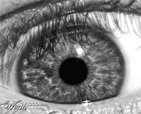Photography by Naitsab