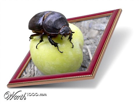 Photoshop Design by lakmus