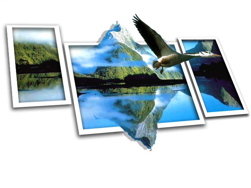 Photoshop-Design von viginiti für DesignCrowd (Community Contests) | Design #9063836