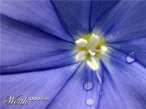 Photography by Craigr1978