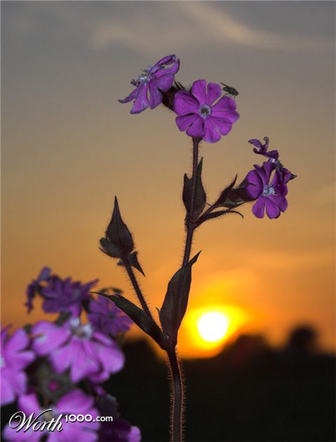 Photography by mightyflup