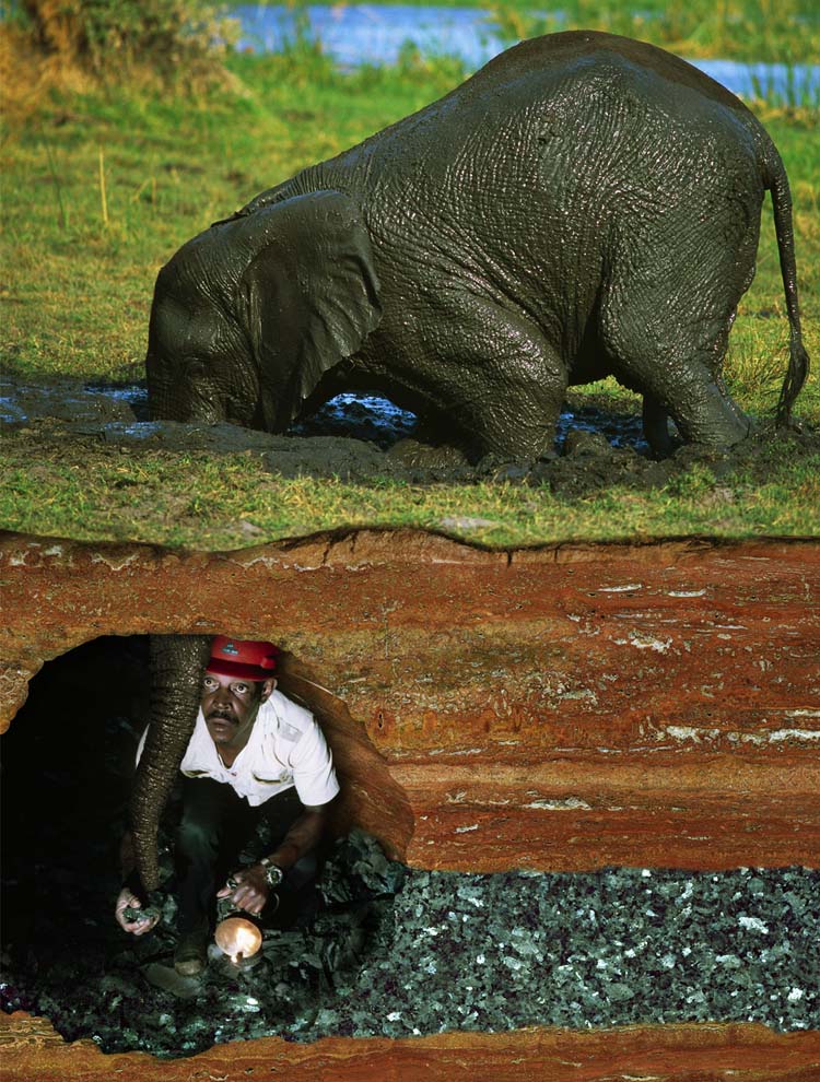 Photoshop Design by Fedorov for DesignCrowd (Community Contests) | Design #9063589