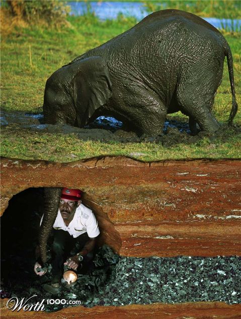 Photoshop Design by Fedorov