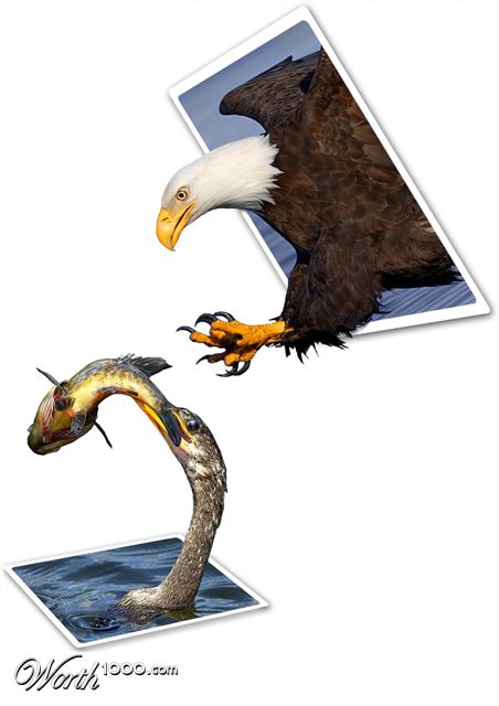 Photoshop Design by echoburst