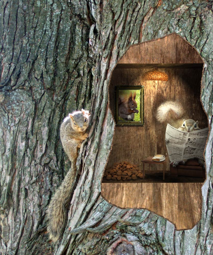 Photoshop Design by wellarmedsheep for DesignCrowd (Community Contests) | Design #9063604