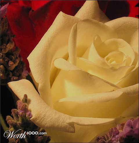 Photography by mated1976