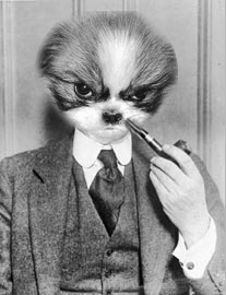 Photoshop Design by mattbyng for DesignCrowd (Community Contests) | Design #9073026