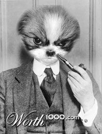 Photoshop Design by mattbyng