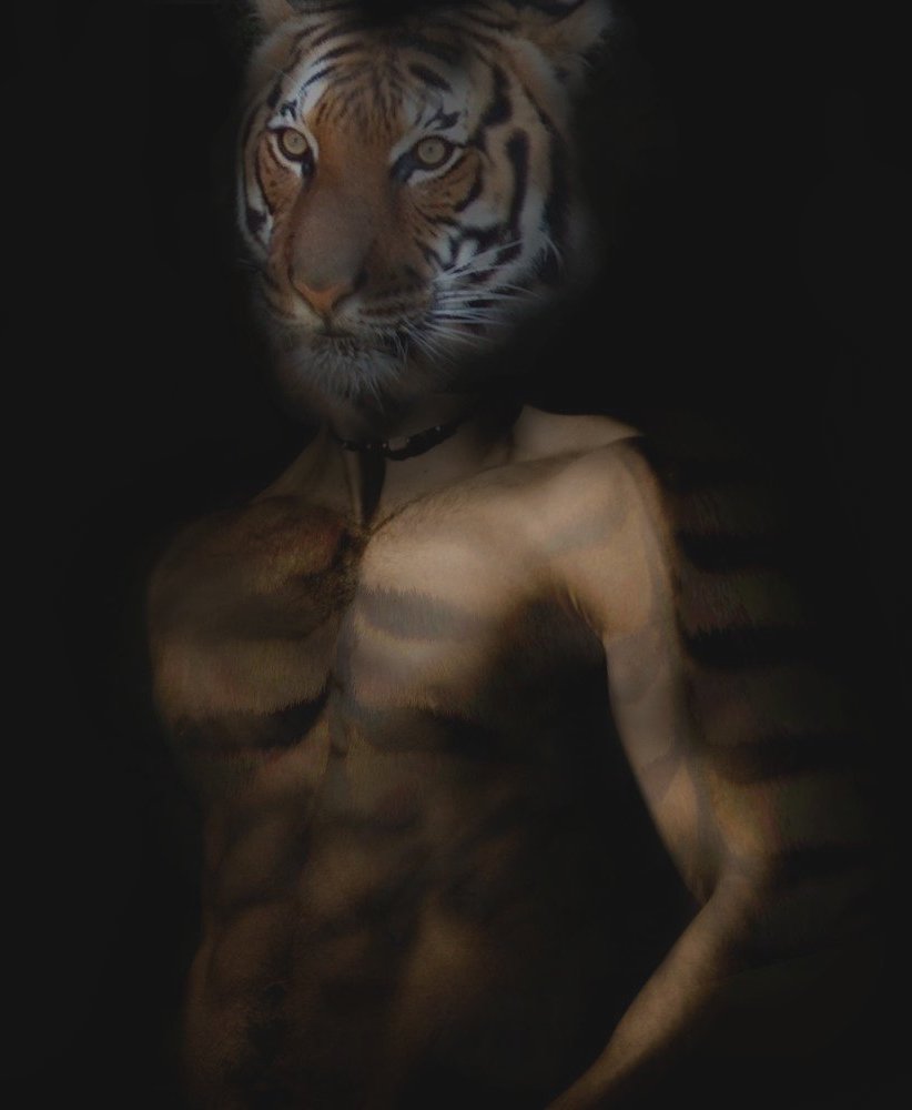 Photoshop Design by mooluk26 for DesignCrowd (Community Contests) | Design #9073055