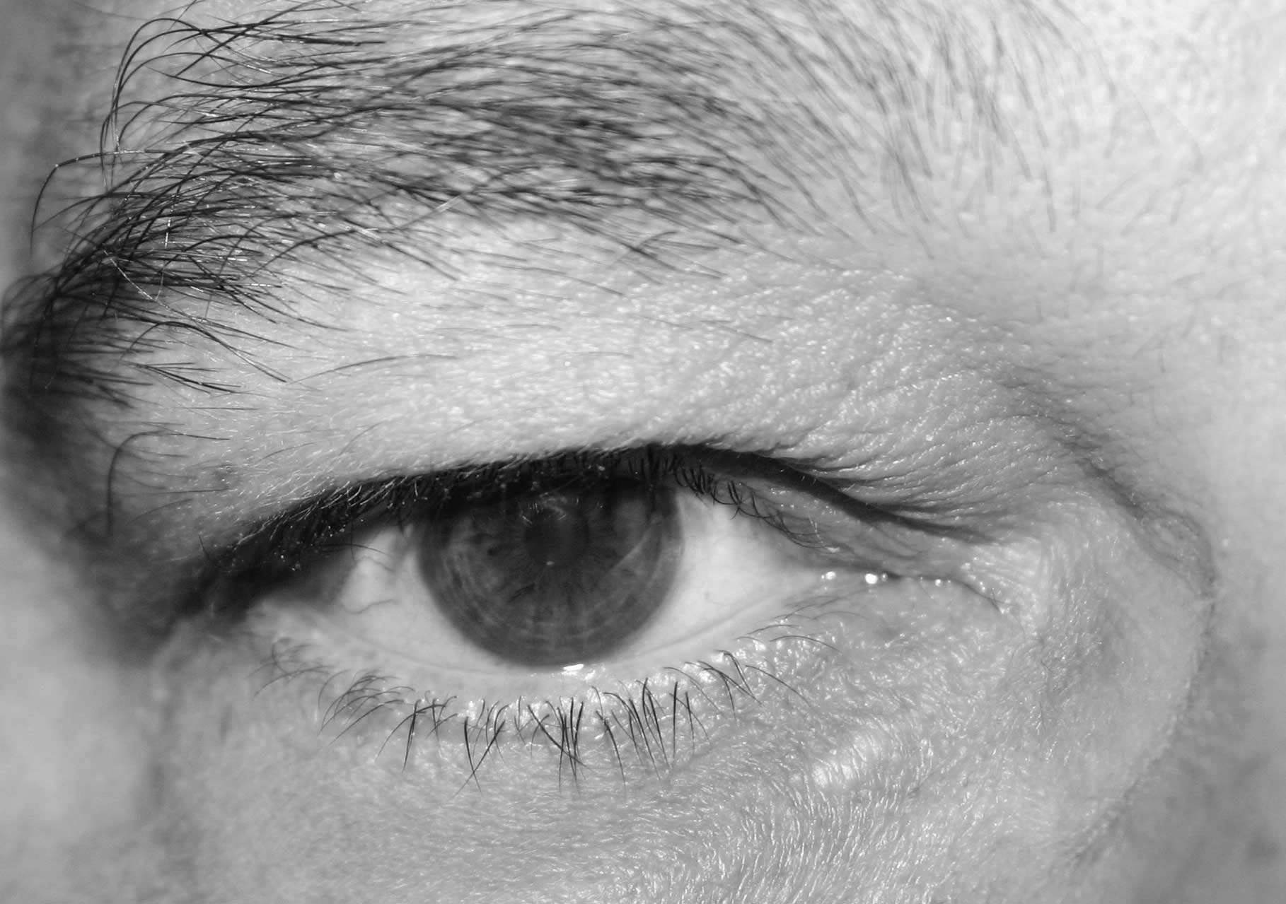 Fotografía por lazarkl para DesignCrowd (Community Contests) | Diseño #9071123