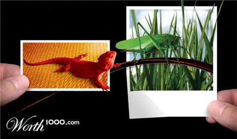 Photoshop Design by shopalot