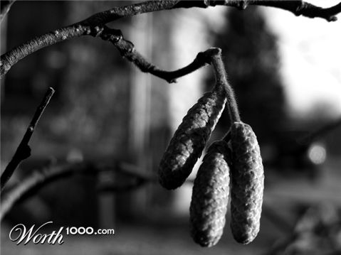 Photography by xavbof