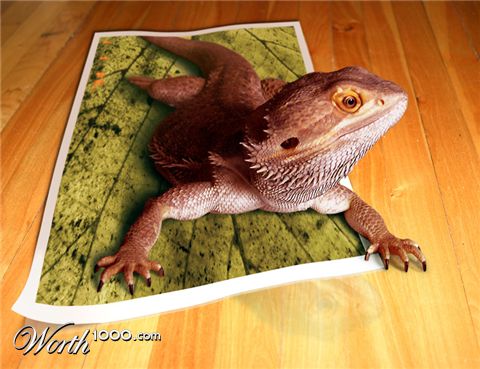 Photoshop Design by renatodornas