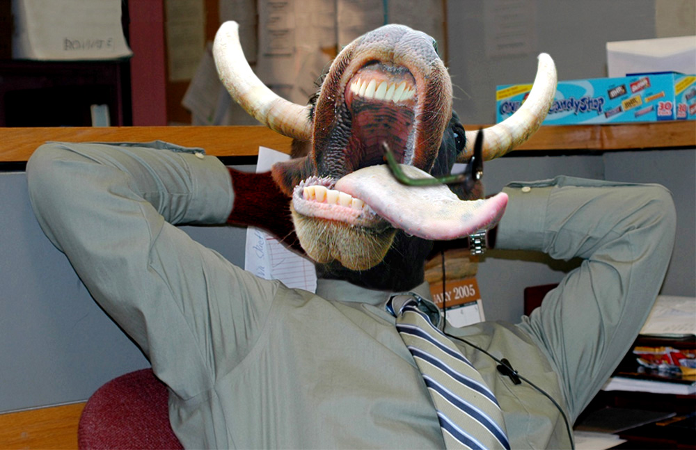 Diseño de Photoshop por EyEars para DesignCrowd (Community Contests) | Diseño #9073107