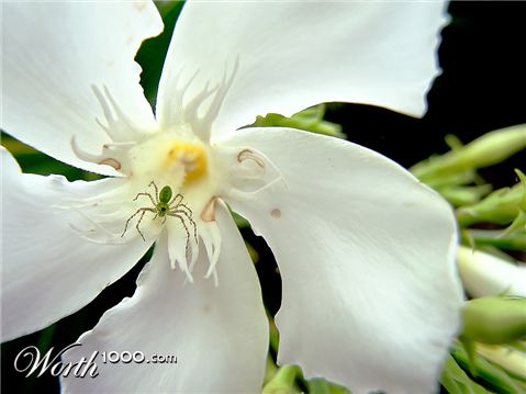 Photography by DFragXD