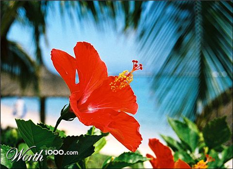 Photography by Juicer