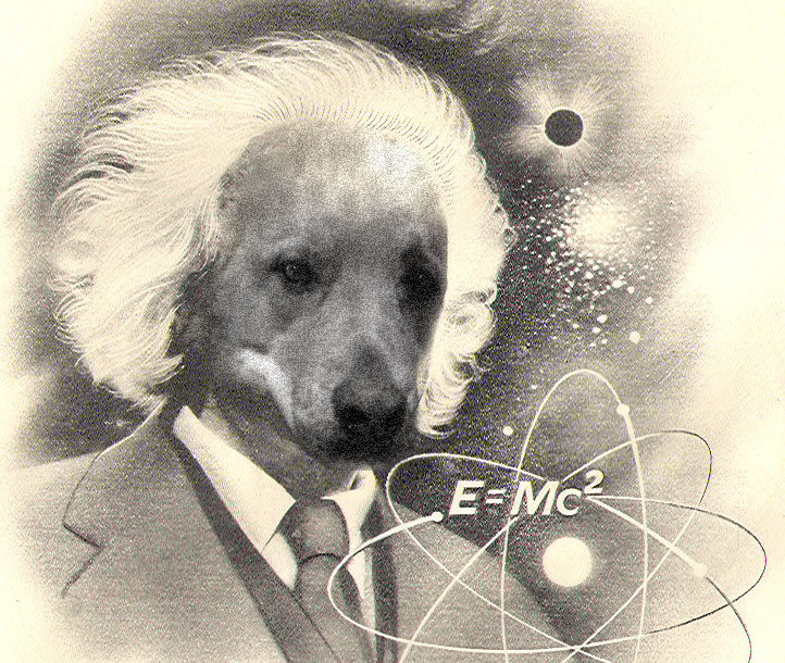 Diseño de Photoshop por couznig para DesignCrowd (Community Contests) | Diseño #9073145