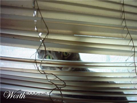 Photography by squishy