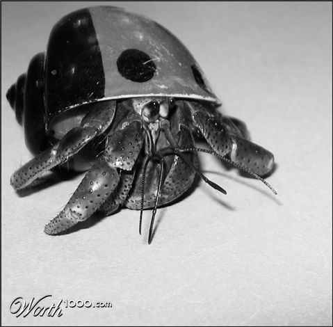 Photography by gunmetal