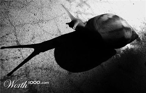 Photography by tahchoe