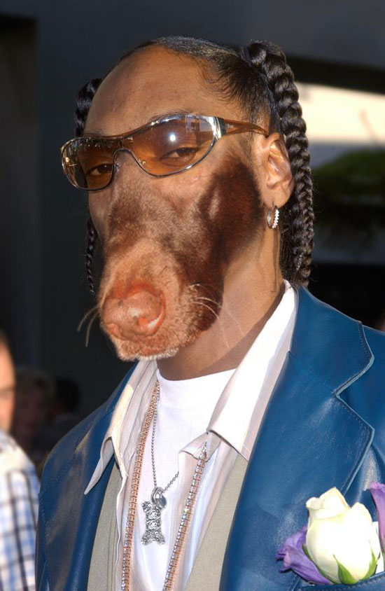 Photoshop-Design von MadamXelda für DesignCrowd (Community Contests) | Design #9073132