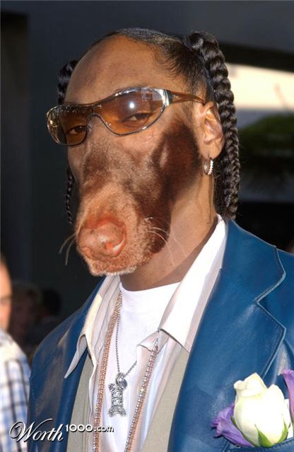 Photoshop Design by MadamXelda