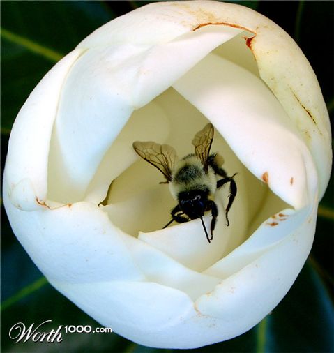 Photography by mare53