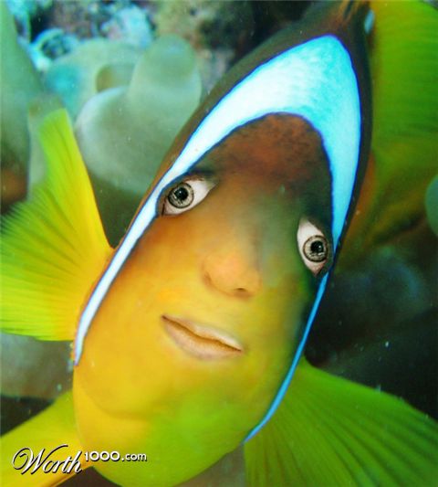 Photoshop Design by rootduck