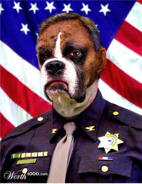 Photoshop Design by Koosricardo