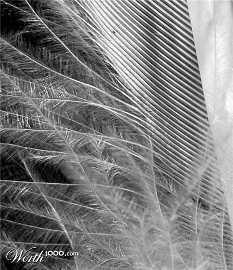 Photography by Rosalette