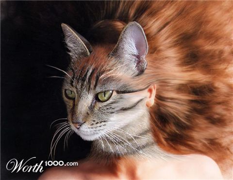 Photoshop Design by sugarcane