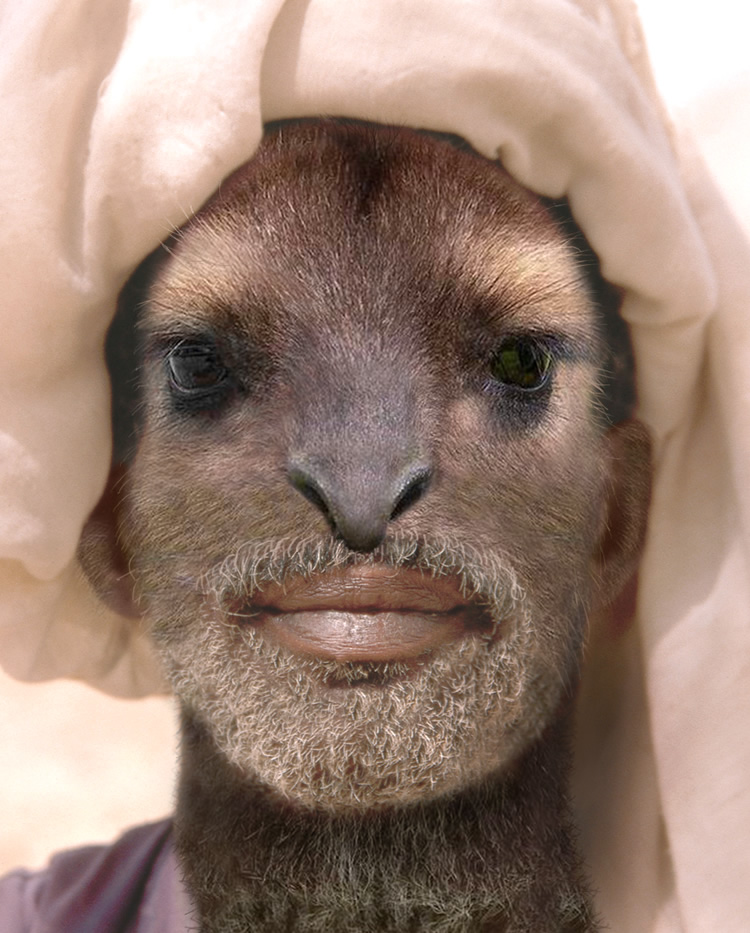 Photoshop Design by digammo for DesignCrowd (Community Contests) | Design #9073253