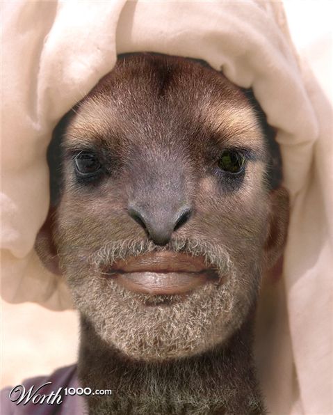 Photoshop Design by digammo