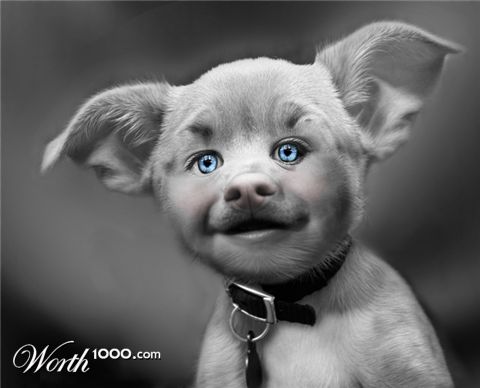Photoshop Design by renata
