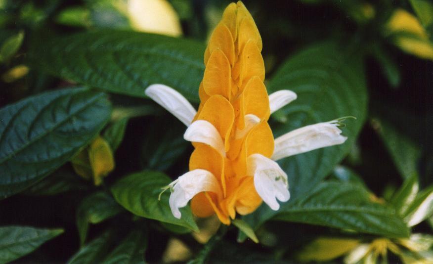 Photography by Larah McElroy for DesignCrowd (Community Contests) | Design #9060909