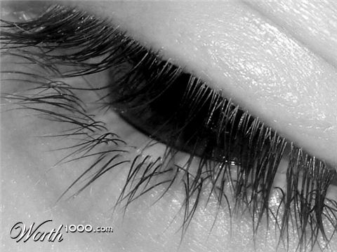 Photography by Cicee16