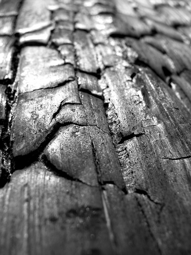 Photography by nowheregirl for DesignCrowd (Community Contests) | Design #9071169