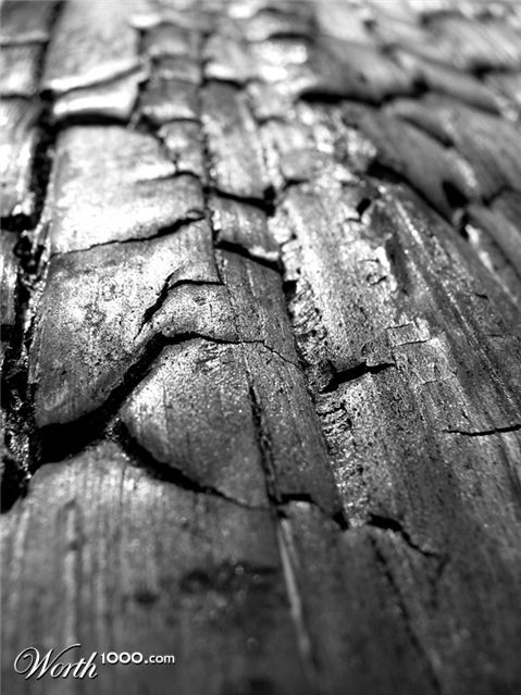 Photography by nowheregirl