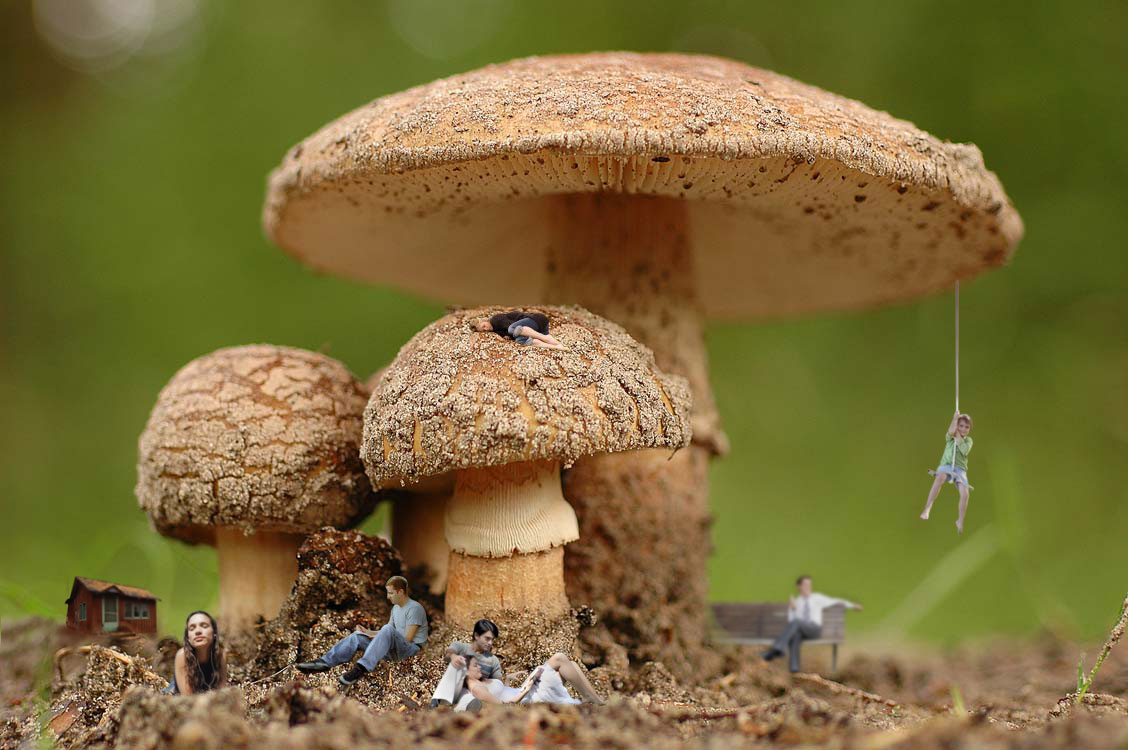 Diseño de Photoshop por bossmanthe para DesignCrowd (Community Contests) | Diseño #9060179