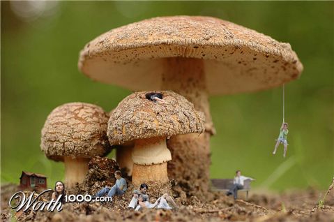 Photoshop Design by bossmanthe