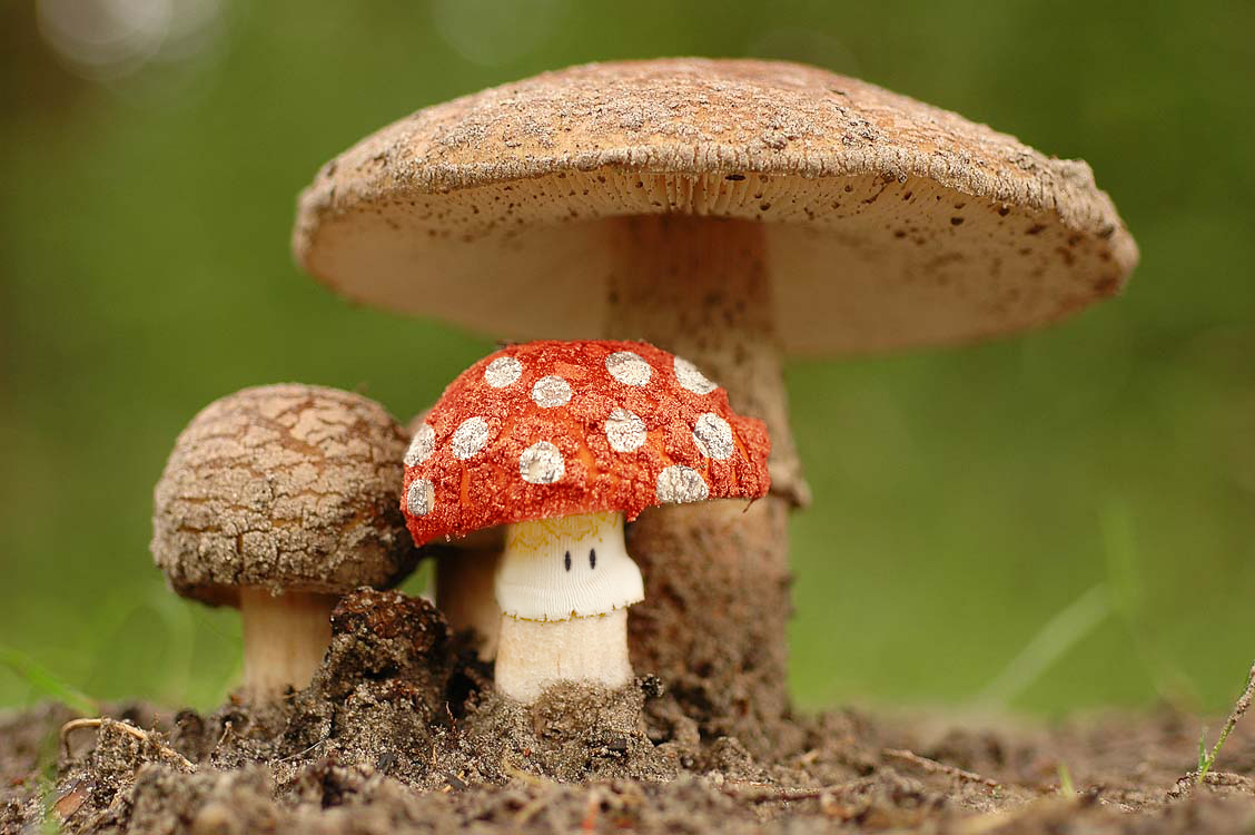 Photoshop Design by an0maly33 for DesignCrowd (Community Contests) | Design #9060197