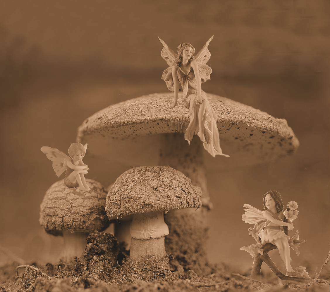 Design Photoshop par lisa4011 pour DesignCrowd (Community Contests) | Design #9060216