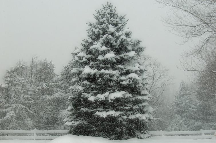 Photography by Kirsilouis for DesignCrowd (Community Contests) | Design #9060931